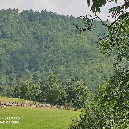 Vikendica Kostic Case de vacanță Zlatibor