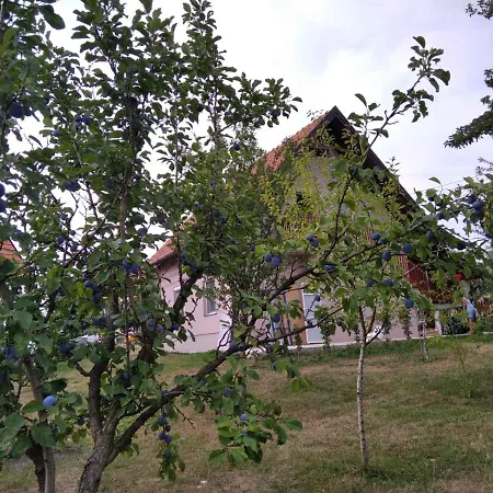 Case de vacanță Vikendica Kostic Zlatibor