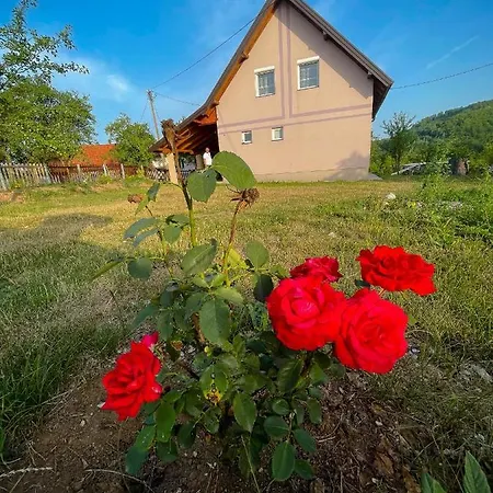 Case de vacanță Vikendica Kostic