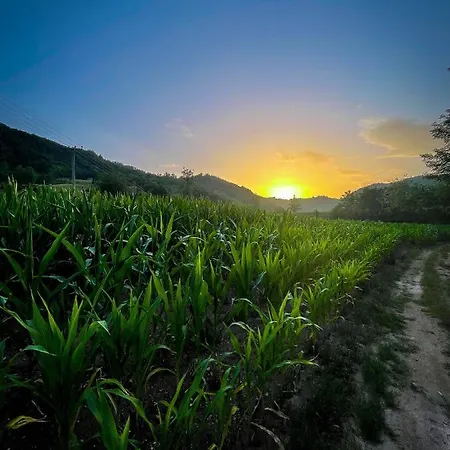 Case de vacanță Vikendica Kostic *