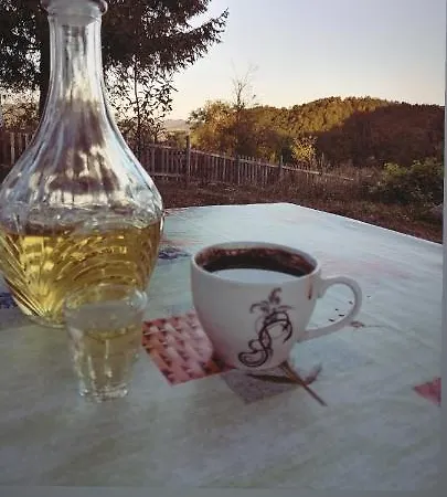 Vikendica Kostic Case de vacanță *