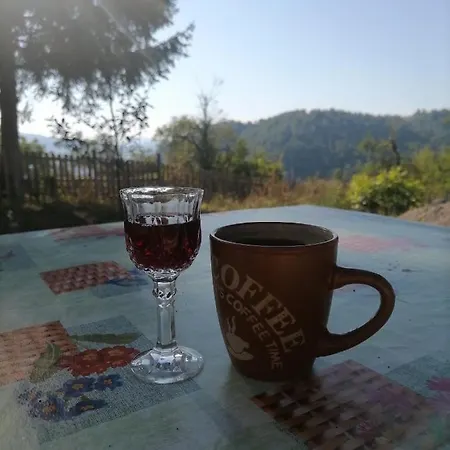 Vikendica Kostic * Zlatibor