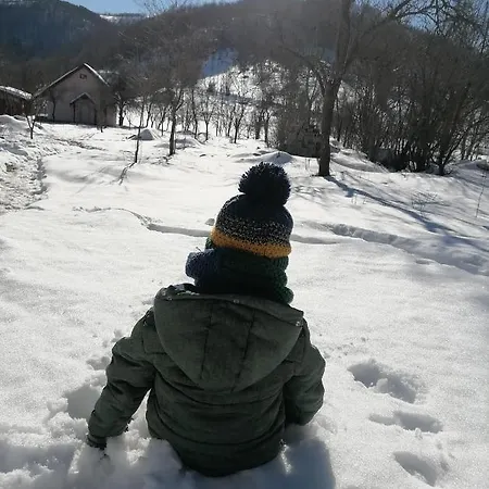 Vikendica Kostic Zlatibor