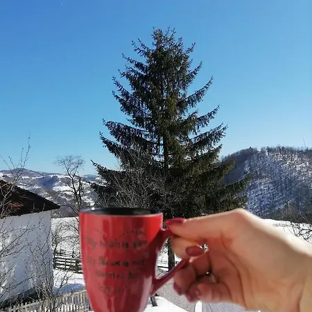 Case de vacanță Vikendica Kostic Zlatibor