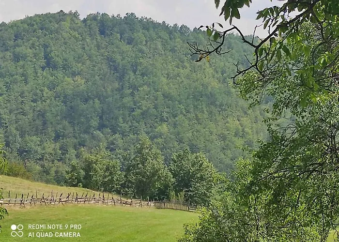 Vikendica Kostic Σπίτι διακοπών Ζλάτιμπορ