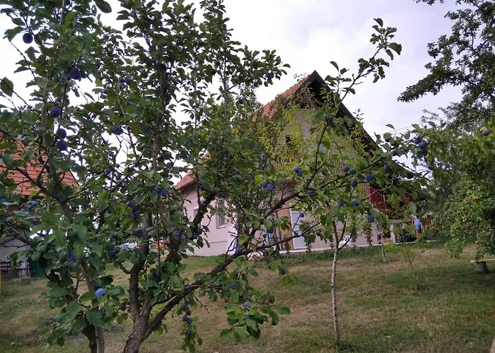 Σπίτι διακοπών Vikendica Kostic Ζλάτιμπορ