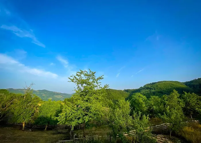 Σπίτι διακοπών Vikendica Kostic *