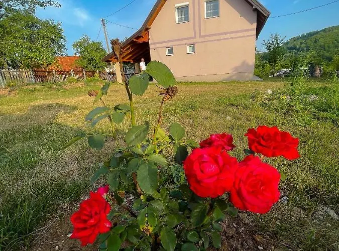 Σπίτι διακοπών Vikendica Kostic