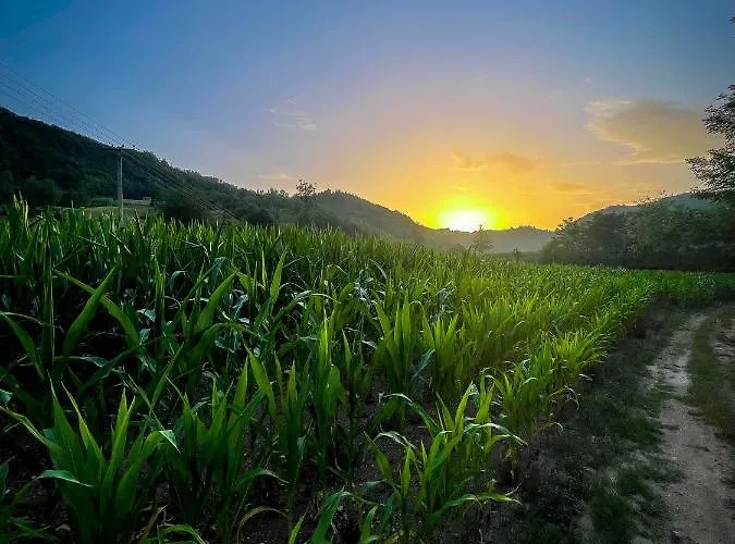Σπίτι διακοπών Vikendica Kostic *