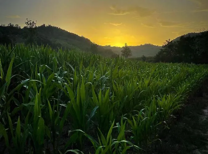 Σπίτι διακοπών Vikendica Kostic