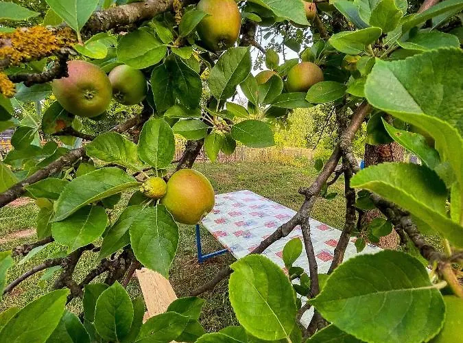 Vikendica Kostic * Ζλάτιμπορ