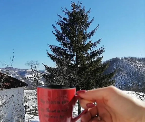 Σπίτι διακοπών Vikendica Kostic Ζλάτιμπορ